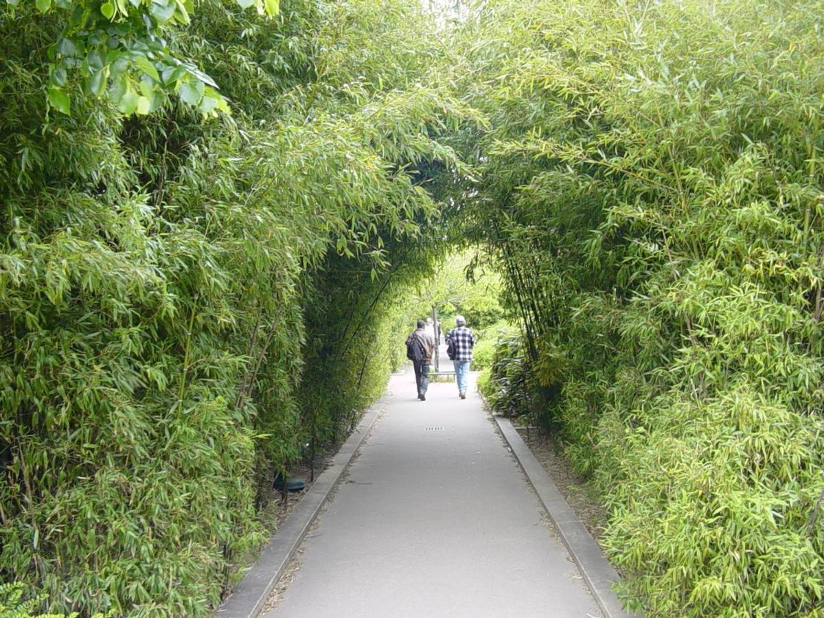 Appartamento Paris Studio *